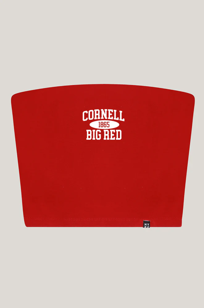 Cornell Tube Top - Image 5