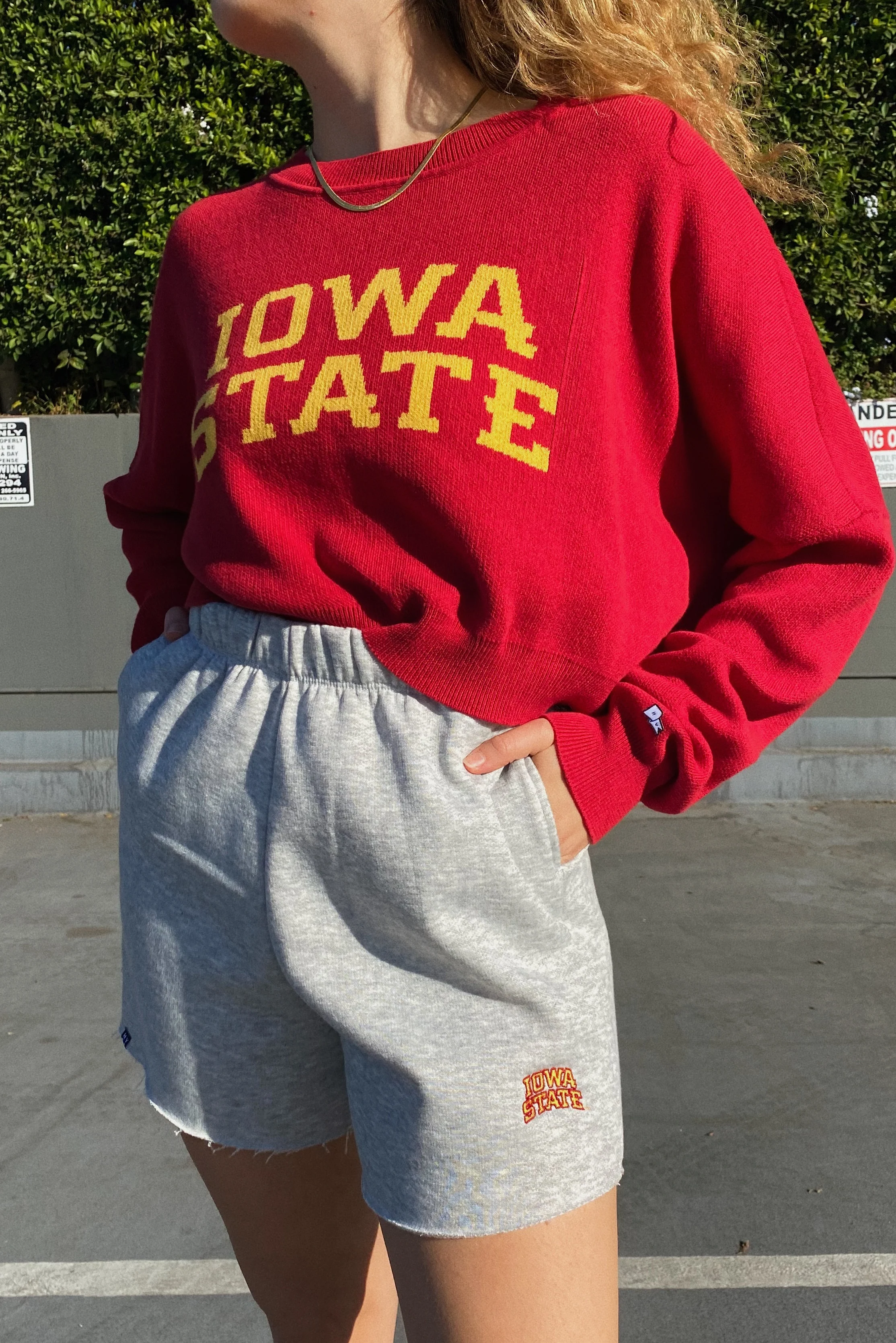 Iowa State Cut Off Sweatshorts - Image 3